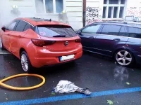 foto 1 (14)